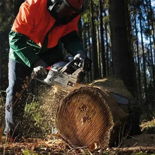 Бензопила Scheppach CSH56 CSH56 фото